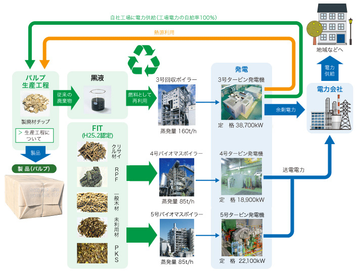 バイオマス発電設備の現況