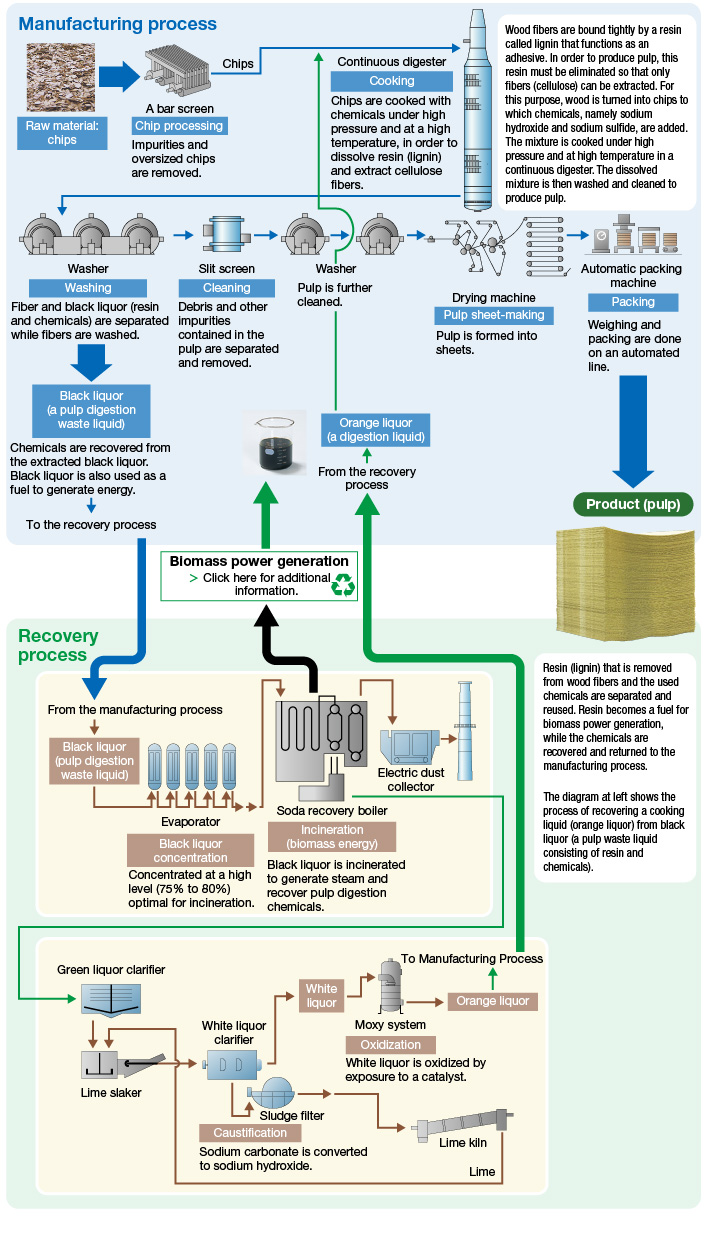 Turning lumber mill scraps and recycled wood into raw materials